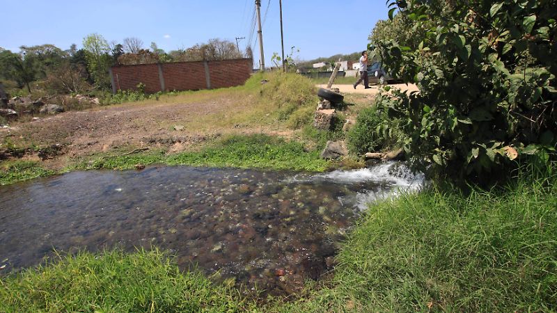 Manantial El Castillo